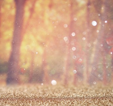 ağaçlar ve glitter bokeh ışıkları arasında ışık patlaması soyut fotoğraf bulanık. görüntü filtre ve dokulu.