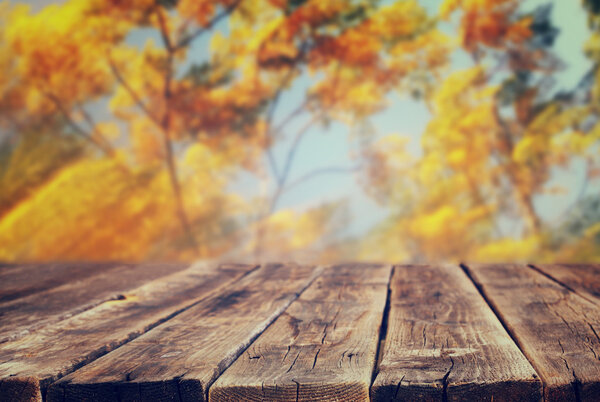 Image of front rustic wood boards and background of fall leaves in forest