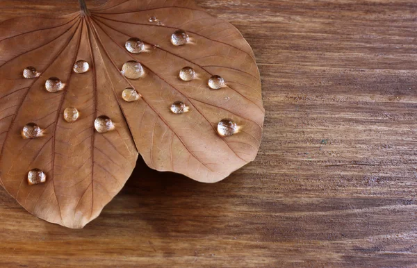 Immagine a chiave bassa di foglia secca con gocce di rugiada su sfondo di legno. focus selettivo . — Foto Stock