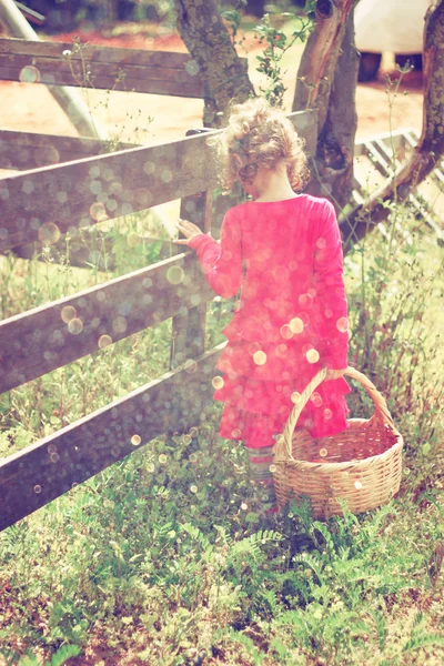 Χαριτωμένο κορίτσι περπάτημα πεδίο με καλάθι και ζεστό ηλιοβασίλεμα light.abstract και ονειρικό έννοια. εικόνα είναι κατασκευασμένο και ρετρό τονισμένα — Φωτογραφία Αρχείου
