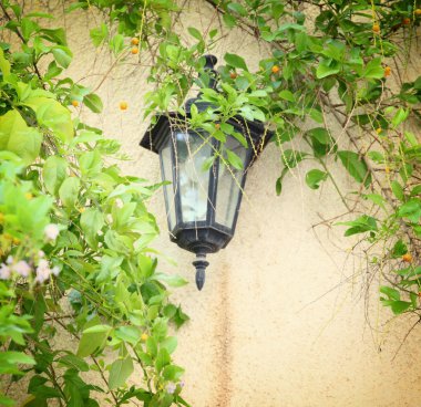 Antika Victoria açık duvar yeşil yaprakları tarafından çevrili lambası. Filtre uygulanmış görüntü