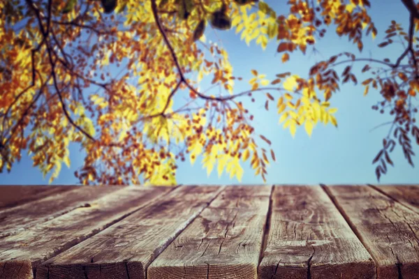 Fondo de otoño con fondo de lámina de colores y tableros de madera rústica en la parte delantera —  Fotos de Stock