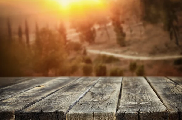 Rustic wooden planks in front of forest landscape in sunset — Stock Photo, Image