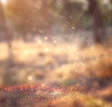 soyut fotoğraf ışığın ağaçlar ve glitter bokeh ışıklar arasında seri. görüntü bulanık ve filtre .