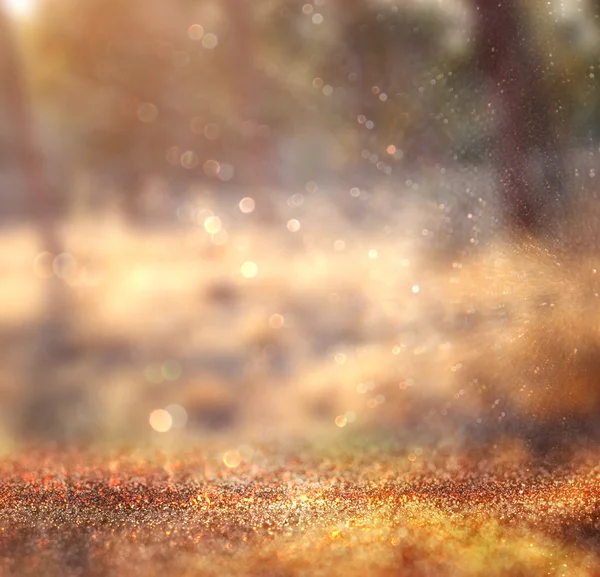 나무와 반짝이 bokeh 빛 가운데 빛 파열의 추상 사진. 이미지 흐리게 및 필터링 . — 스톡 사진