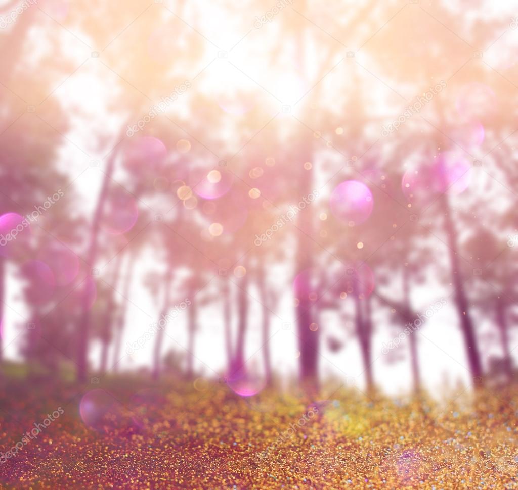 Abstract photo of light burst among trees and glitter bokeh lights. image is blurred and filtered .