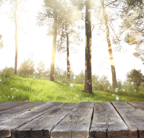 Immagine di tavole di legno rustico davanti e sfondo di alberi in foresta. immagine è retro tonica — Foto Stock