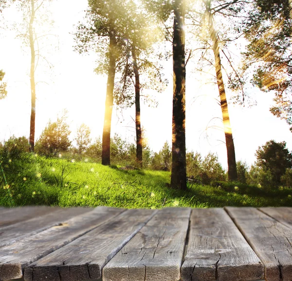 Obrázek přední rustikální dřevěných desek a pozadí stromů v lese. obraz je retro laděných — Stock fotografie