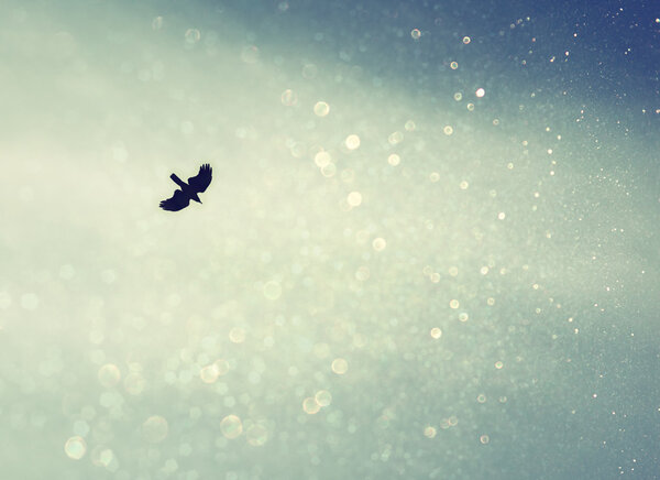 A bird spreading its wings and fly to heaven sky. retro filtered image with glitter