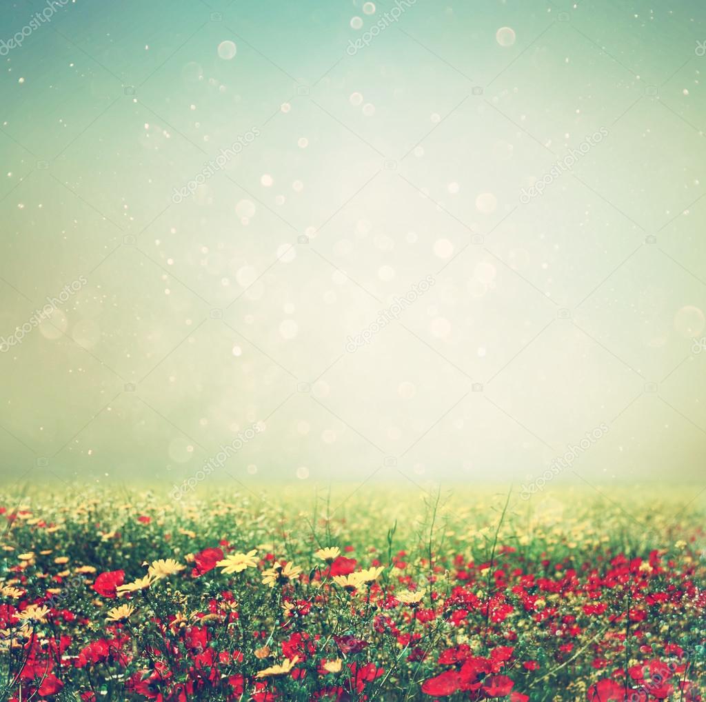 Abstract photo of wild flower field and bright bokeh lights. cross proccess effect