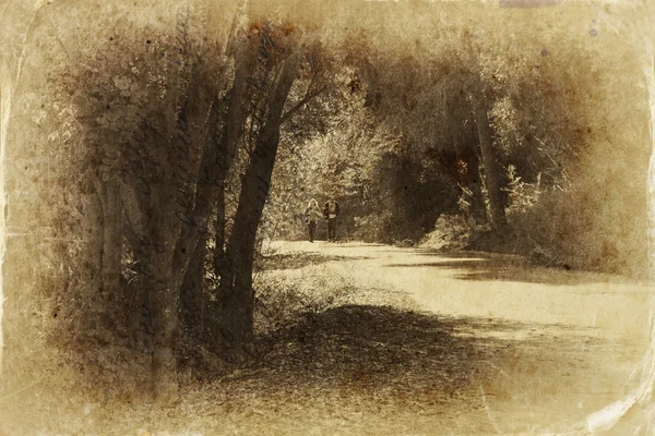 Ένα ζεύγος που περπατά σε ένα δρόμο σε ένα σκοτεινό δάσος — Φωτογραφία Αρχείου
