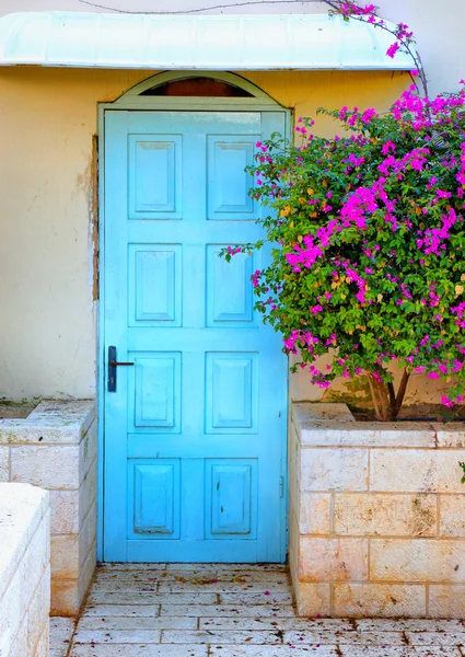 Old blue rustic wooden door and flowers — Stock Photo, Image