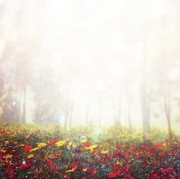 Abstract photo of wild flower field and bright bokeh lights. cross proccess effect — Stock Photo, Image