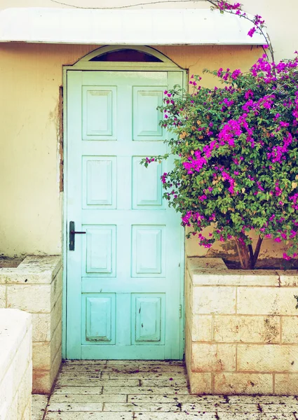 Old blue rustic wooden door and flowers — Stock Photo, Image