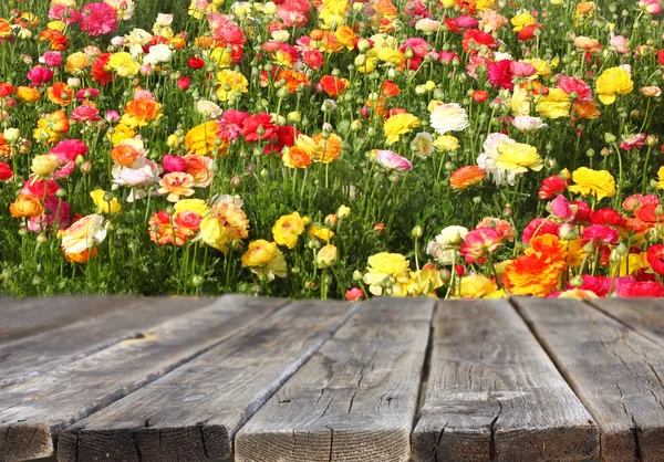 Houten bord tafel voor zomer landschap van veld met veel bloemen — Stockfoto