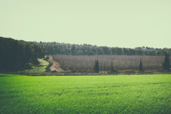 Foto abstrata da vista de campo aberto. imagem retro filtrada — Fotografia de Stock