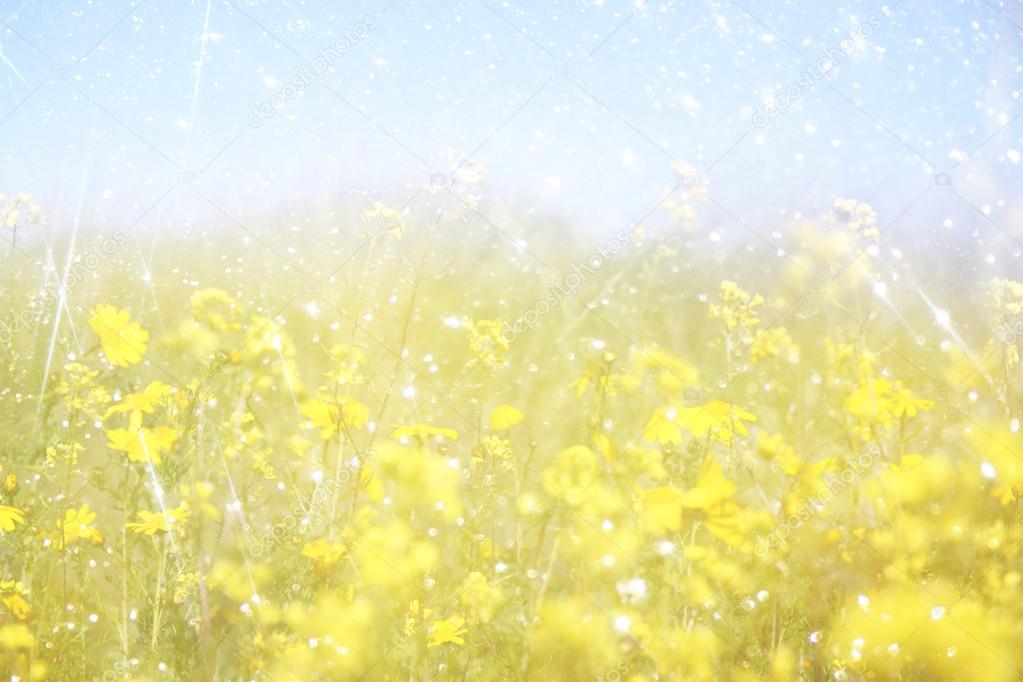 Double exposure of flower field bloom, creating abstract and dreamy photo