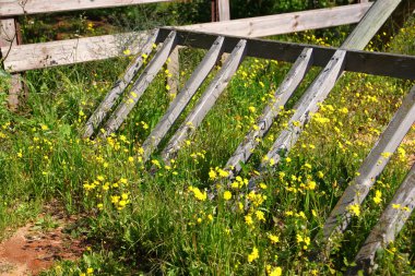 Görüntü alanında çiçeklerin kırık ahşap çit