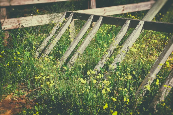 Bilden av trasigt trästaket i fält av blommor — Stockfoto