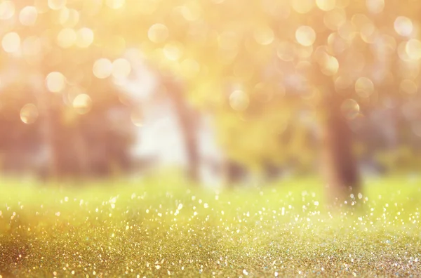 Abstraktes Foto von Licht platzt zwischen Bäumen und glitzernden Bokeh-Lichtern. Bild ist verschwommen und gefiltert . — Stockfoto