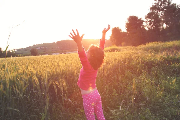 Lato posteriore del bambino felice guardando il tramonto nel campo di grano, esplorare e concetto di avventura — Foto Stock