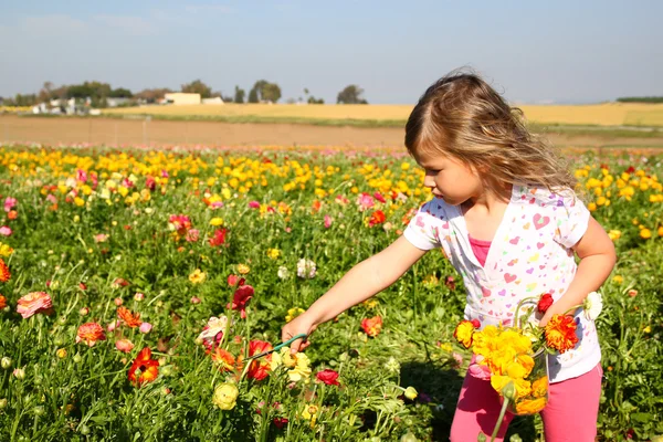 Foto di bambino felice che guarda il campo dei fiori estivi — Foto Stock