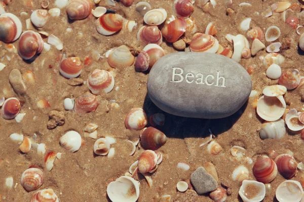 Две каменные гальки со словом пляж и знак якоря над песчаным пляжем с раковинами — стоковое фото