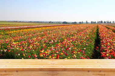Ahşap Pano tablo yaz peyzaj çiçek alan çiçek çift pozlama ile önünde
