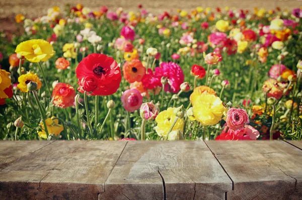 Tavolo in legno di fronte al paesaggio estivo con doppia esposizione di fiore fioritura campo — Foto Stock