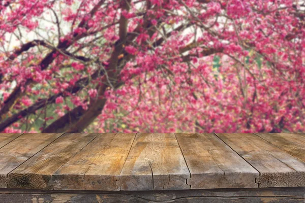 Imagem da árvore das flores da Cereja da Primavera. imagem retro filtrada, foco seletivo — Fotografia de Stock