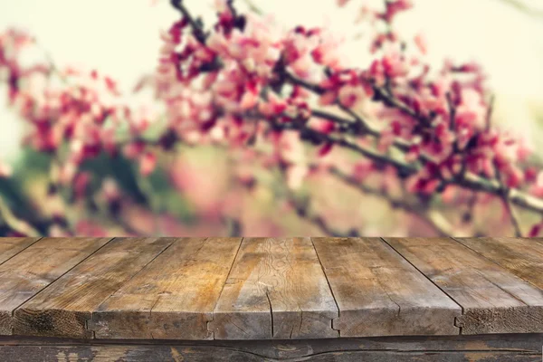 Imagem da árvore das flores da Cereja da Primavera. imagem retro filtrada, foco seletivo — Fotografia de Stock