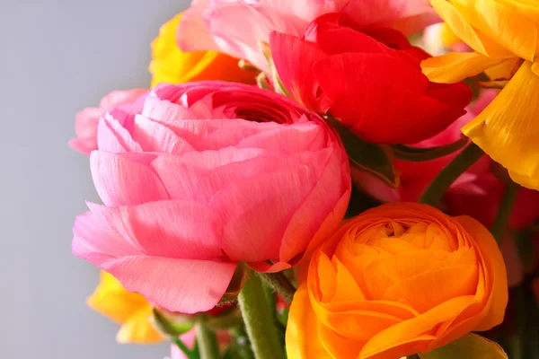 Nahaufnahme Foto von Frühlingsblumen — Stockfoto