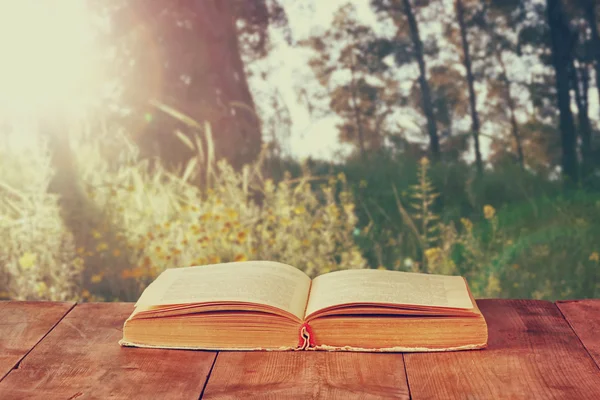 Libro abierto sobre mesa rústica de madera frente al paisaje salvaje y la luz del atardecer estalló —  Fotos de Stock