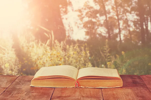 Libro abierto sobre mesa rústica de madera frente al paisaje salvaje y la luz del atardecer estalló — Foto de Stock