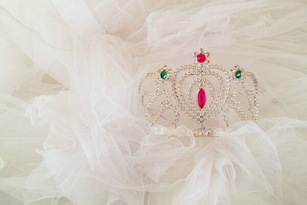 Little girls shiny crown and magic wand and chiffon dress. selective focus