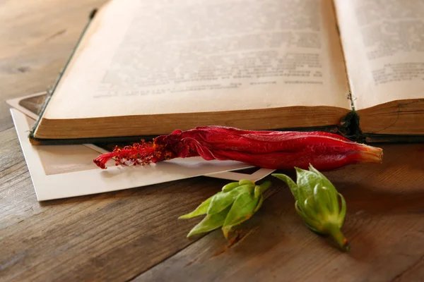 Pohled shora vinobraní otevřená kniha a suchý červený květ. Vintage filtrovaného obrazu — Stock fotografie