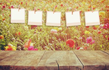Antika ahşap Pano tablo yaz çiçek önünde bir iple asılı eski polaroid fotoğraf çerçeveleri çiçek peyzaj alanı