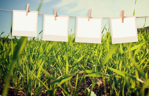 Photo polaroid frames hanging on a rope over summer field landscape background — Stock Photo, Image