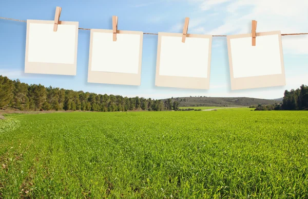 Old polaroid photo frames hanging on a rope in front of open field landscape background — Stock Photo, Image