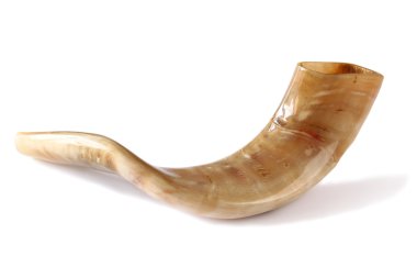 Shofar (boynuz) beyaz üzerinde izole. Rosh hashanah (Yahudi bayramı) konsepti. geleneksel bayram sembolü.