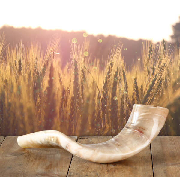 shofar (horn) on wooden table. rosh hashanah (jewish holiday) concept . traditional holiday symbol.