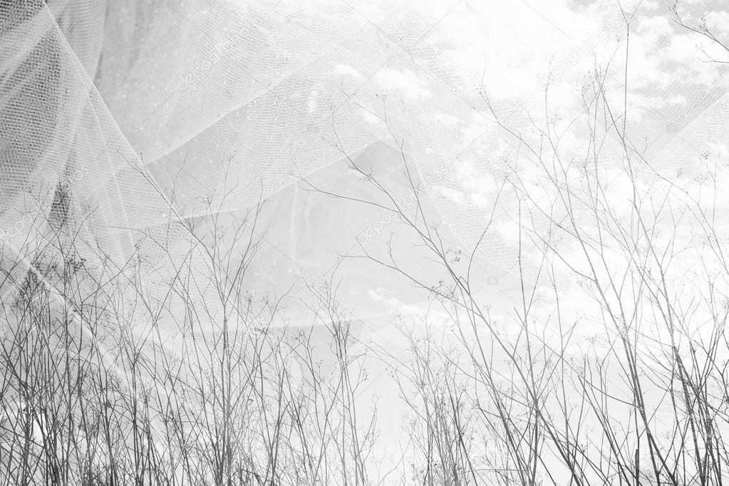 double exposure photo of tree branches in fall against sky and textured fabric layer