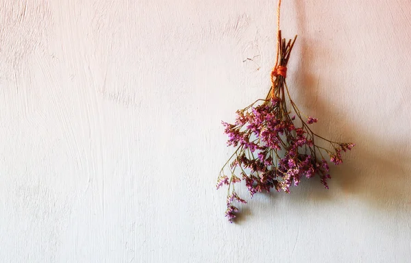 Boeket gedroogde bloemen — Stockfoto