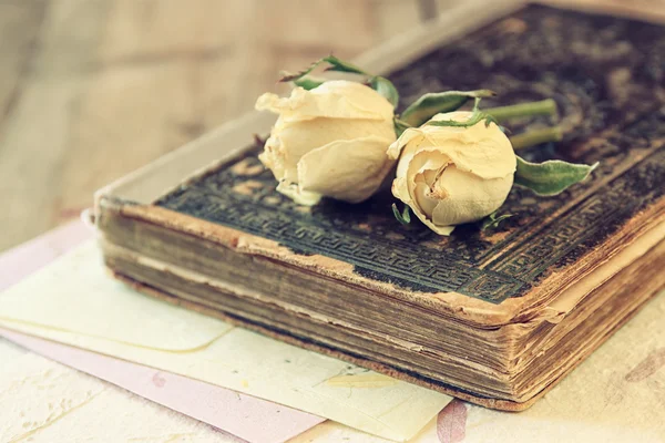 Rosas secas y libro —  Fotos de Stock