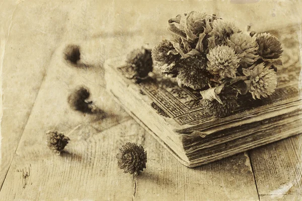 Dry flowers and book — Stock Photo, Image