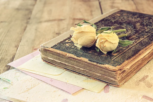 Сухие розы и книга — стоковое фото
