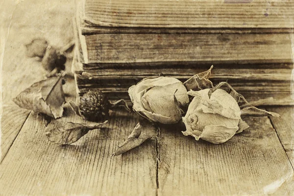 Trockene Rosen und Bücher — Stockfoto