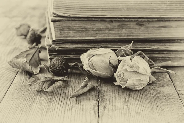 Torra rosor och gamla bok — Stockfoto