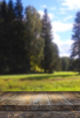 soyut orman göl manzara