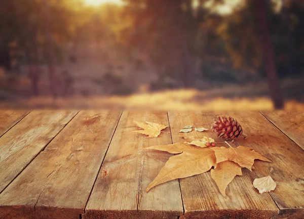 Podzimní pozadí s spadlým listím — Stock fotografie